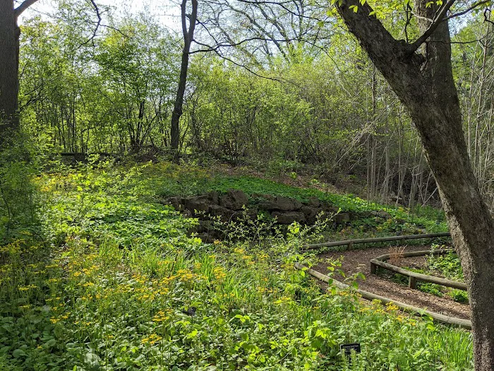 Native Flora Garden Picture 4