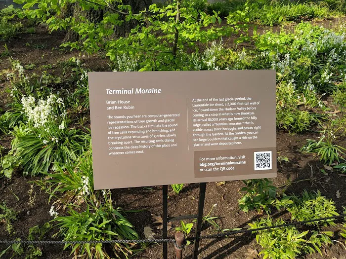 Native Flora Garden Picture 7