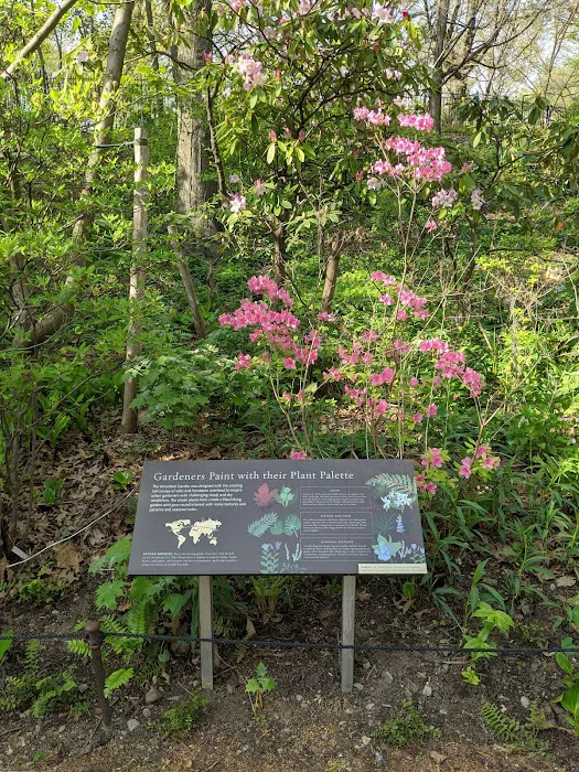Native Flora Garden Picture 8