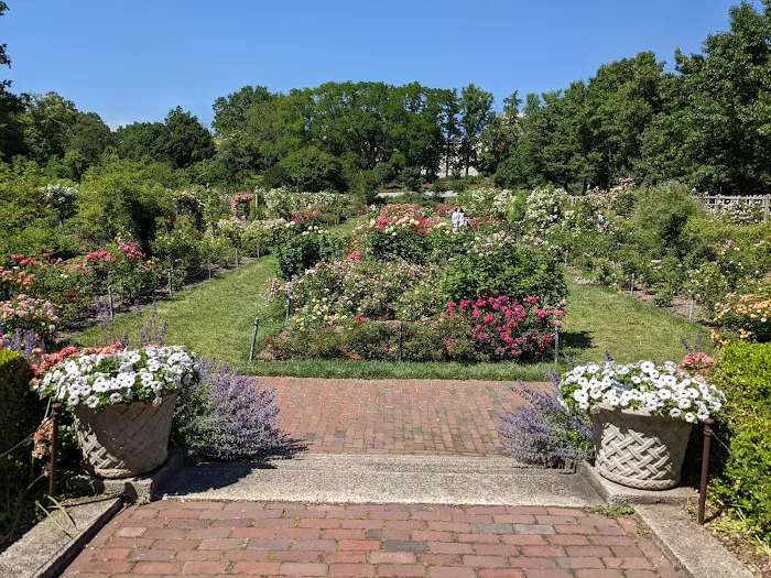 Cranford Rose Garden Picture 2