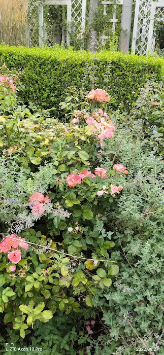 Cranford Rose Garden Picture 6