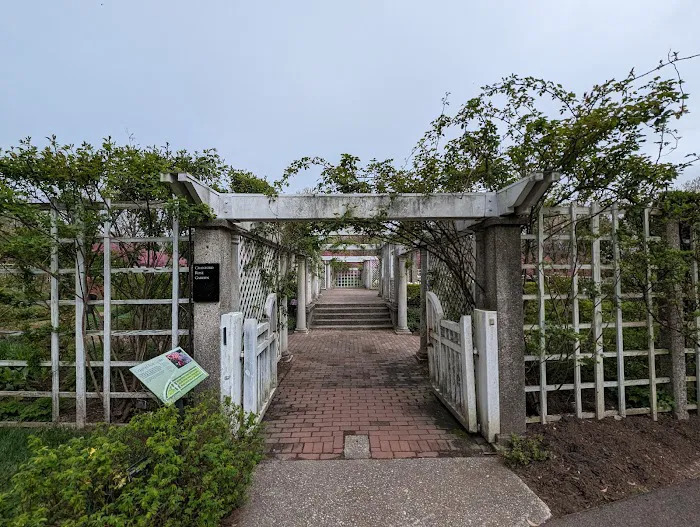 Cranford Rose Garden Picture 7