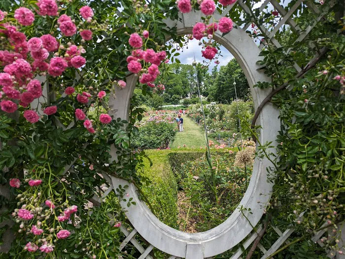 Cranford Rose Garden Picture 8