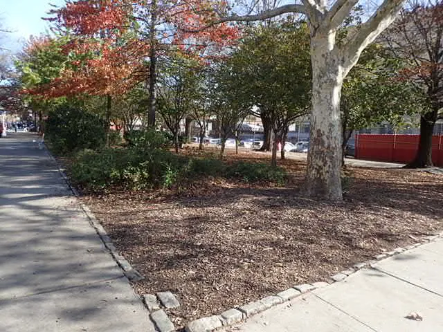Bochino-Dente Plaza Picture 1