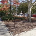 Bochino-Dente Plaza