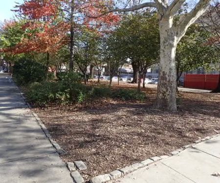 Bochino-Dente Plaza