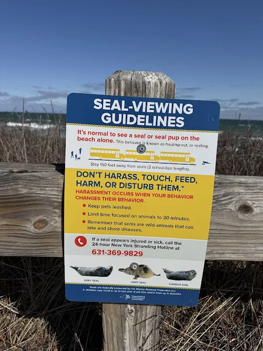 Seal Haul Trail Picture 7