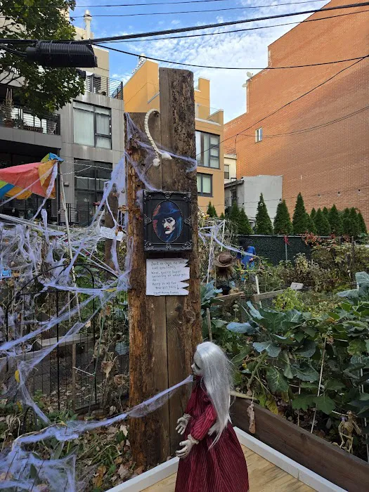 Berry Street Garden Picture 4