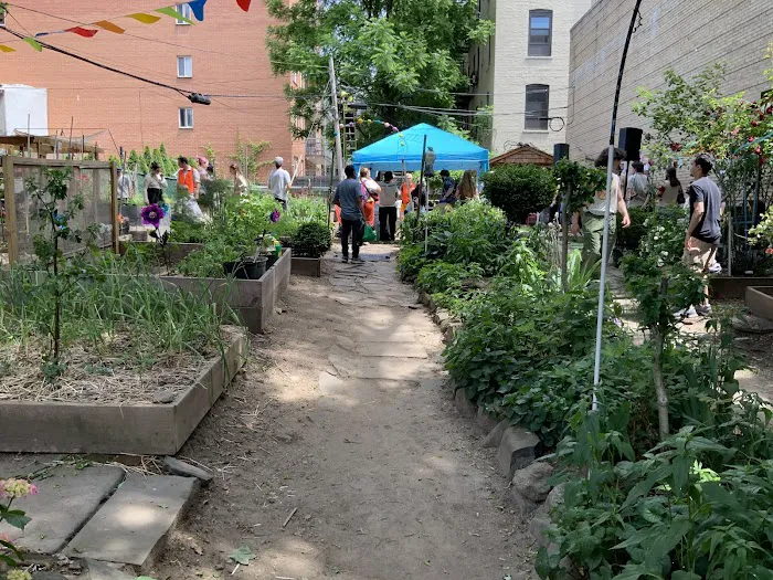 Berry Street Garden Picture 2