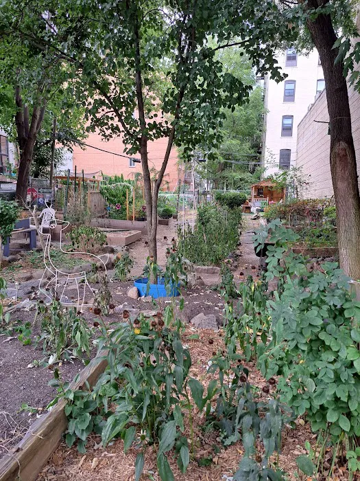 Berry Street Garden Picture 8