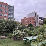 Clifton Place Memorial Garden & Park