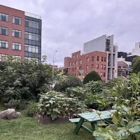 Clifton Place Memorial Garden & Park ico