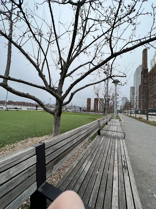 Domino Park Picture 9