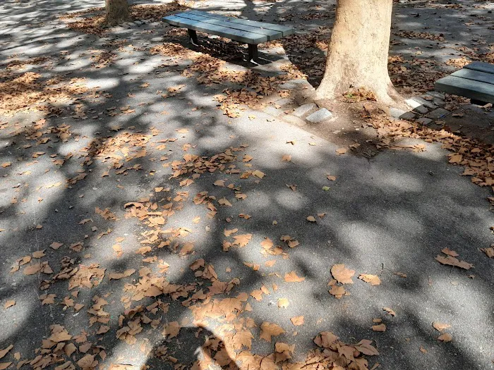 Lafayette Gardens Playground Picture 3