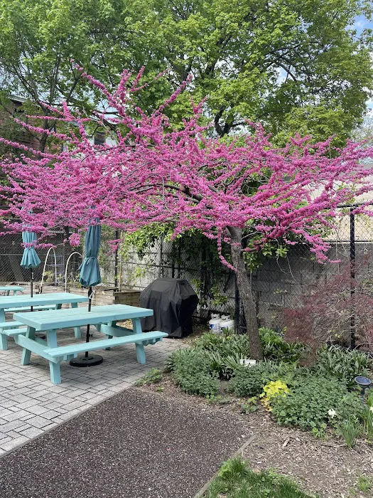 Jane Bailey Memorial Garden Picture 2