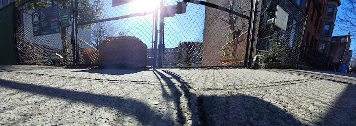 Madison Hill Community Garden Picture 2