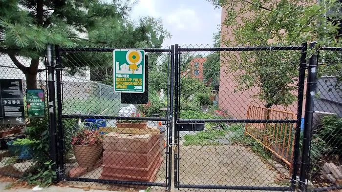 Madison Hill Community Garden Picture 8