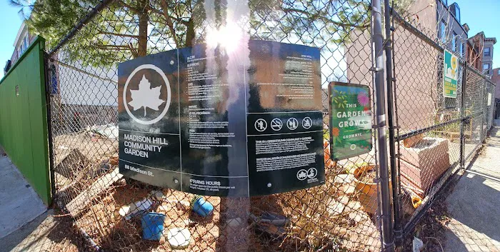 Madison Hill Community Garden Picture 3