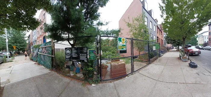 Madison Hill Community Garden Picture 5