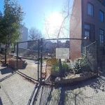 Madison Hill Community Garden