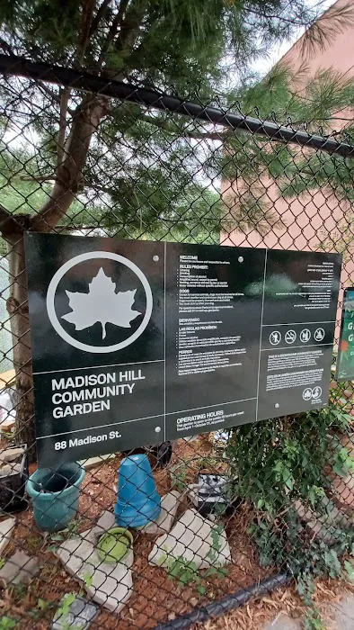 Madison Hill Community Garden Picture 7