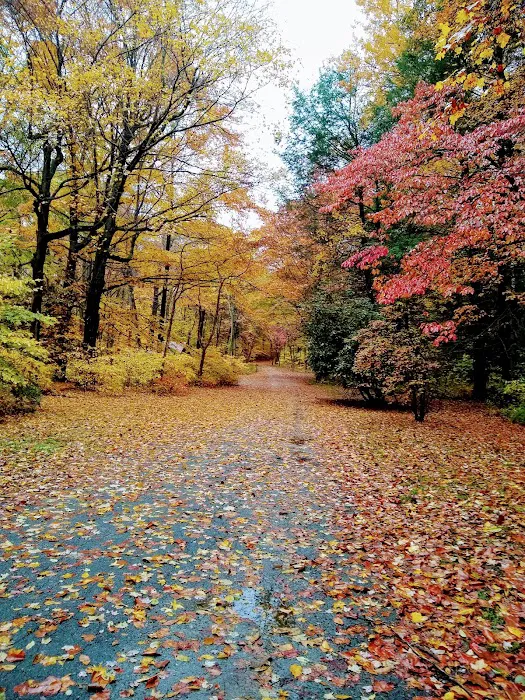 Pomerance Park Picture 6