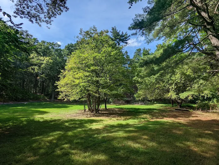 Pomerance Park Picture 4