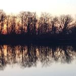 Pelican Island