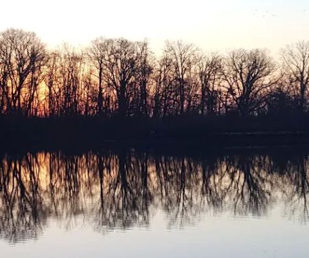 Pelican Island
