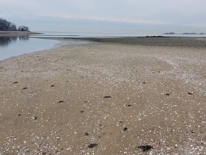 Pelican Island Picture 8