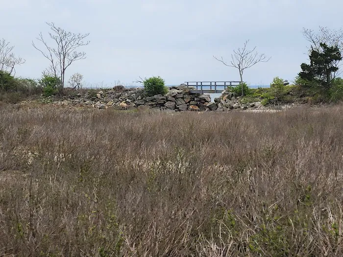 Tod's Inlet Picture 5