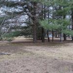 Hague Park