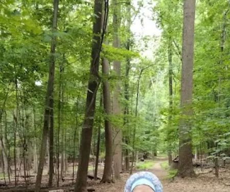 Emerson Woods Trail