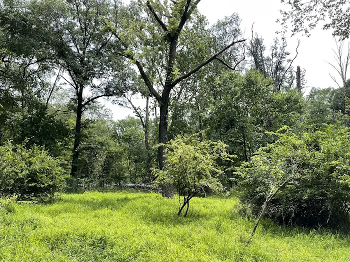 Emerson Woods Trail Picture 7