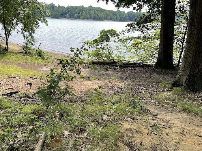 Emerson Woods Trail Picture 4