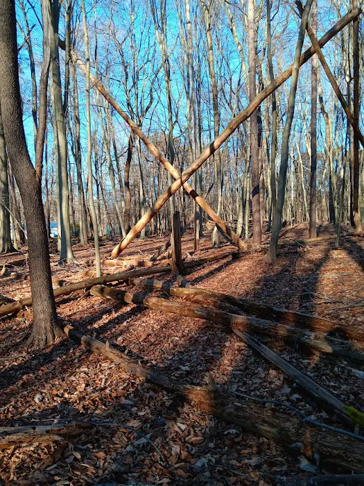 Emerson Woods Trail Picture 3