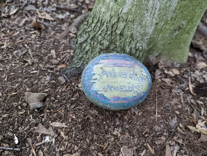Emerson Woods Trail Picture 6