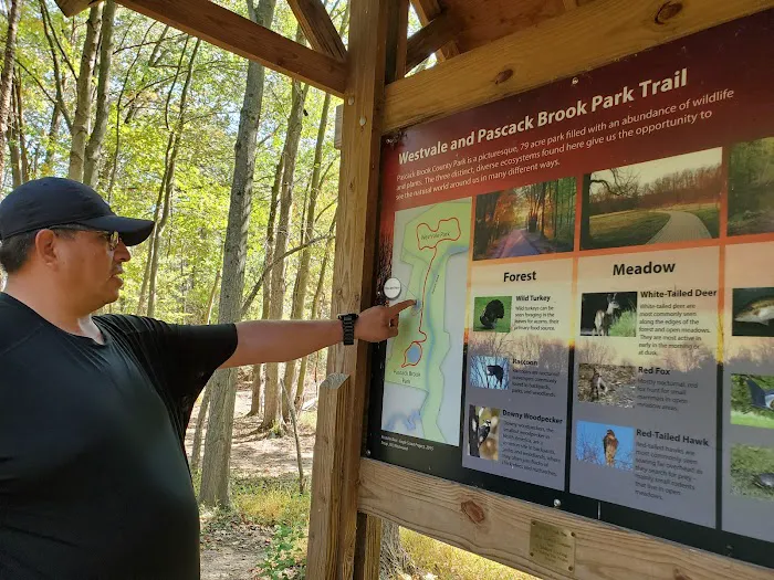 Pascack Brook County Park Picture 6