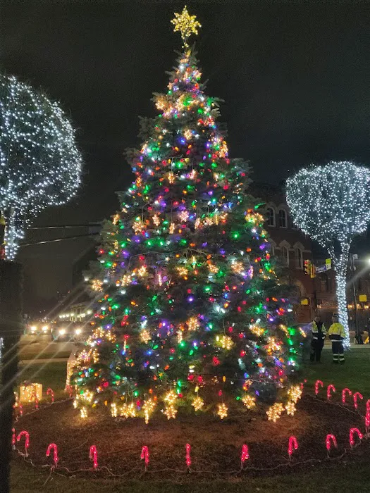 Hackensack Green Picture 6