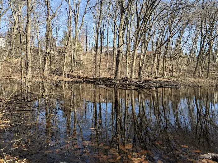 Borg's Woods Nature Preserve Picture 10