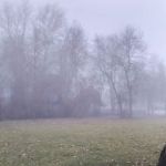 Besen Park