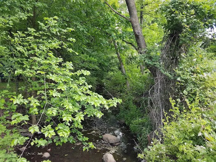 Besen Park Picture 3