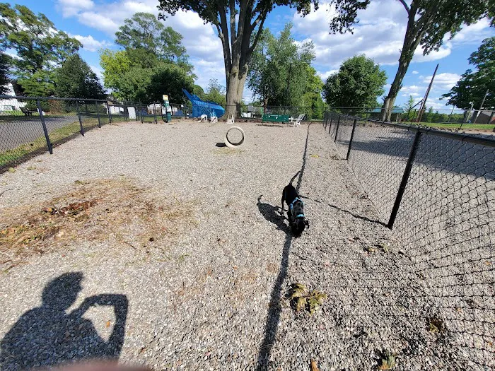 Maywoof Dog Park Picture 1