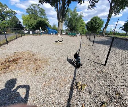 Maywoof Dog Park