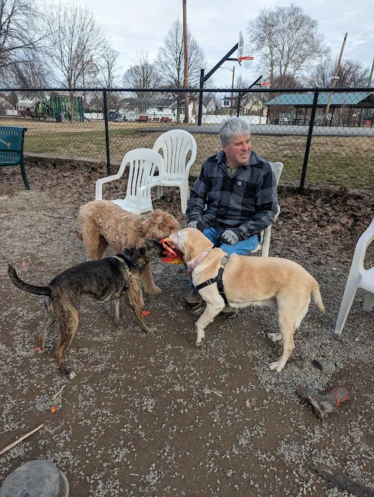 Maywoof Dog Park Picture 4