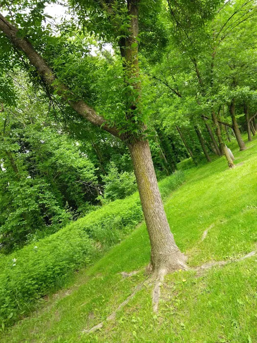 Spring Valley Park Picture 6