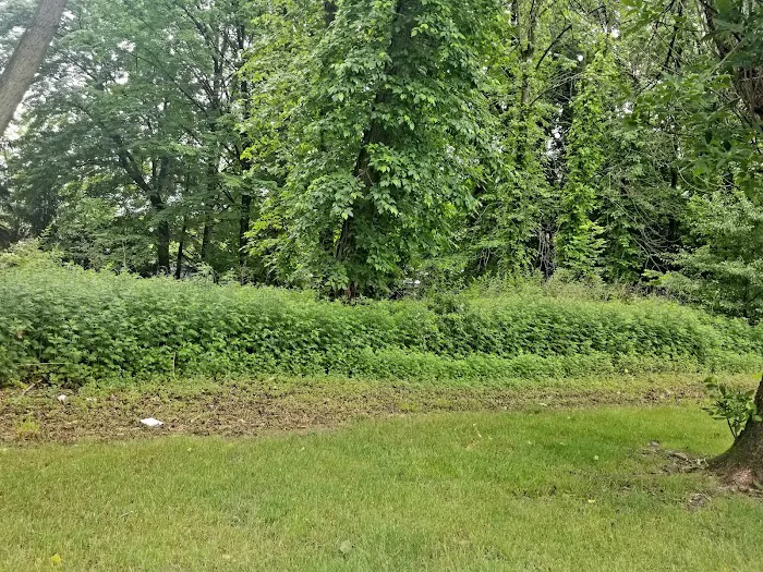 Spring Valley Park Picture 1