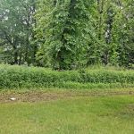 Spring Valley Park
