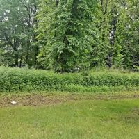 Spring Valley Park ico