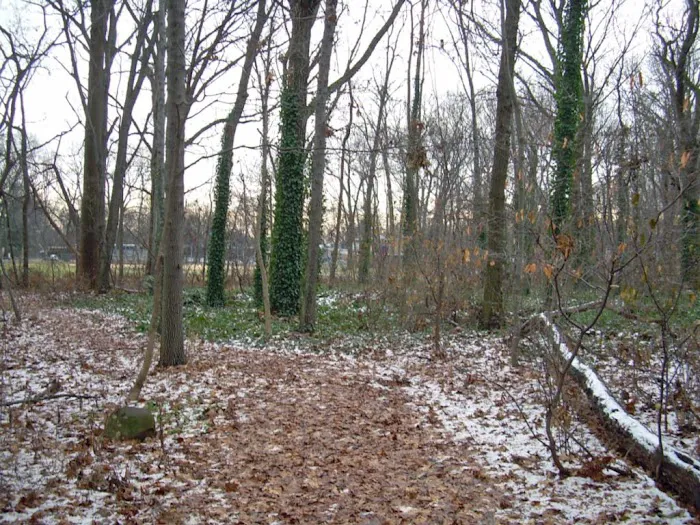 Constitution Grove Park Picture 1